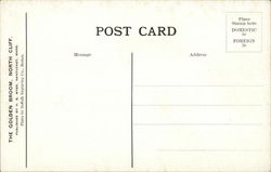 back