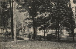 View of Park Sharon Springs, NY Postcard Postcard Postcard