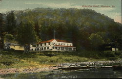 Wild Cat Hotel Postcard