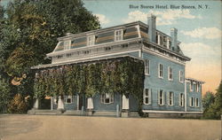 Blue Stores Hotel Germantown, NY Postcard Postcard Postcard