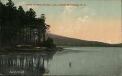 Point of Pines, South Lake Brant Lake, NY Postcard Postcard Postcard