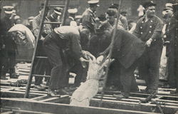 SS Eastland Tenderly Removing From the Hold Chicago, IL Disasters Postcard Postcard Postcard