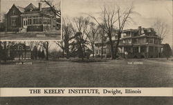 The Keeley Institute Dwight, IL Postcard Postcard Postcard