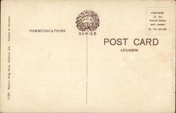 back