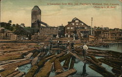 Jas. Playfair's Saw Mill Postcard