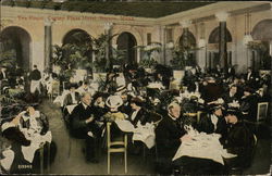 Copley Plaza Hotel - Tea Room Boston, MA Postcard Postcard Postcard