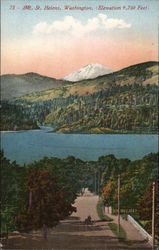 Mt. St. Helens Cougar, WA Postcard Postcard Postcard