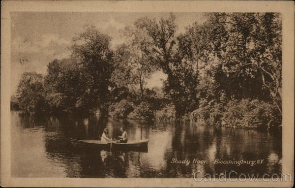 Shady Noon Bloomingburg New York
