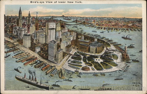 Bird's Eye View of Lower New York