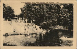 Old Swimming Hole Postcard