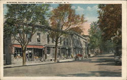 Business Section on Main Street Cherry Valley, NY Postcard Postcard Postcard