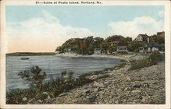 Scene at Peaks Island Portland, ME Postcard Postcard Postcard