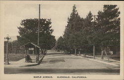 Maple Avenue View Glendale, CA Postcard Postcard Postcard