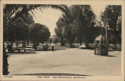 City Park San Bernardino, CA Postcard Postcard Postcard