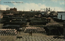 Levee Scene New Orleans, LA Postcard Postcard Postcard