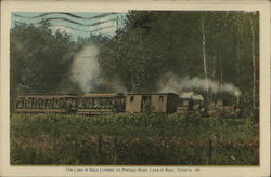 The Lake of Bays Limited, on Portage Road Ontario Canada Postcard Postcard Postcard