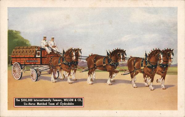 Wilson & Co. Six-Horse Clydesdale Team Chicago Illinois