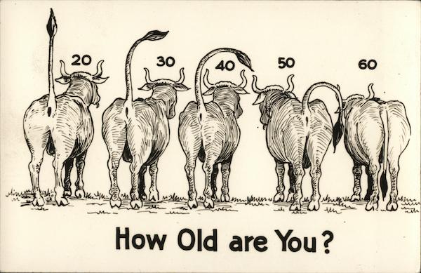 How Old Are You? Comic, Funny