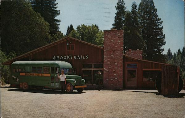 Brooktrails Willits, CA Postcard