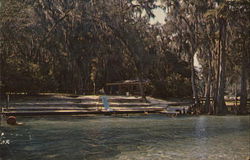 Swimming Area and Snack Bar, Manatee Springs Postcard