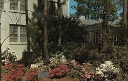 New Perry Hotel and Motel Postcard