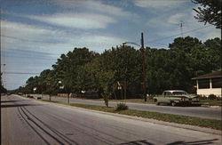 Looking North on Bayard Avenue Postcard