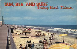 Beach and Surf Postcard