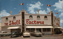 The Shell Factory Postcard