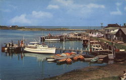 Harbor and Yacht Basin Postcard