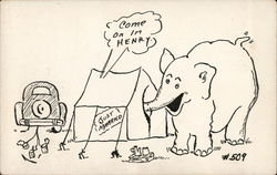 Elephant Trying To Get in Honeymoon Tent Postcard