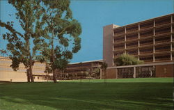 The University of California at San Diego Postcard Postcard Postcard