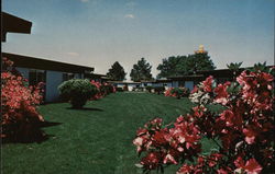 South of the Border Gardens Postcard