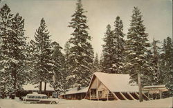The Alpine Lodge Postcard