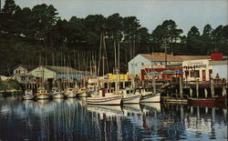 Noyo Harbor Postcard