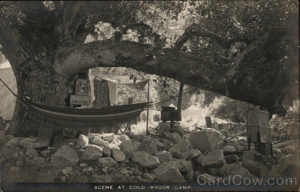 Hammock Beneath Huge Branch - Scene at Cold Brook Camp Azusa California