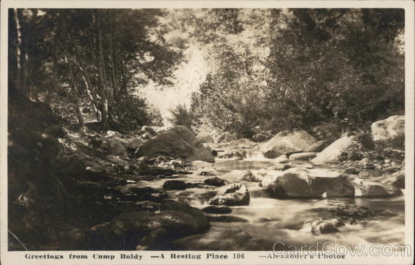 Creek with Large Rocks with Trees on Each Side - Greetings from Camp Baldy Mount Baldy California