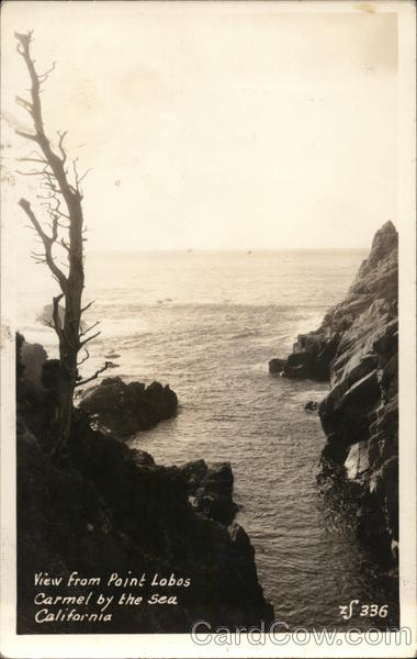 View from Point Lobos Carmel-by-the-Sea California
