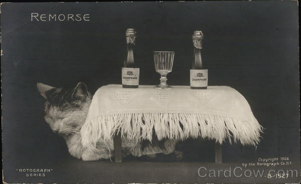 Remorse Cats