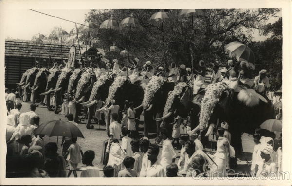 Thrissur Pooram - Hindu Temple Festival India