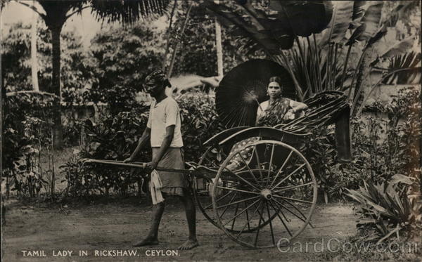Tamil Lady in Rickshaw Sri Lanka Southeast Asia