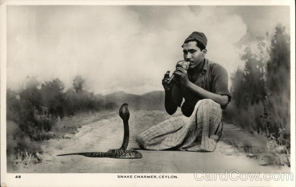 Snake Charmer Ceylon Southeast Asia