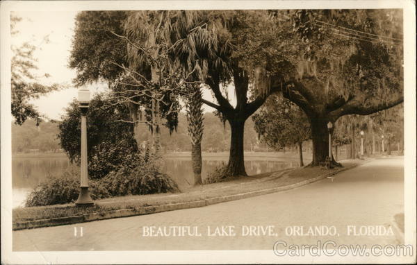 Beautiful Lake Drive Orlando Florida