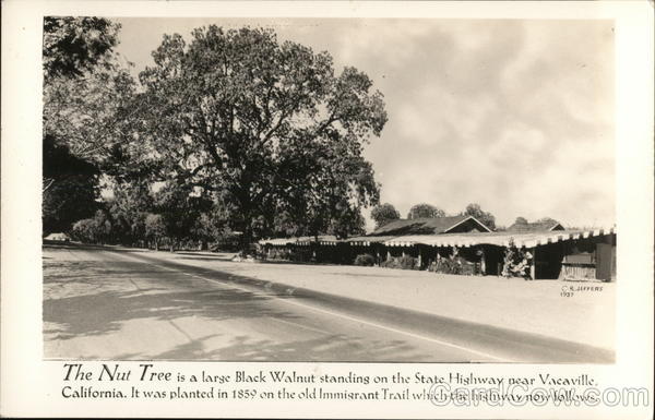 The Nut Tree Vacaville California