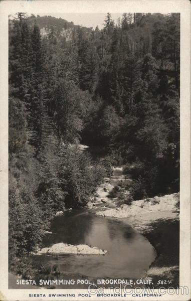 Siesta Swimming Pool Brookdale California