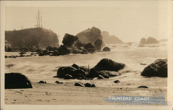 Rocky Coast Trinidad California