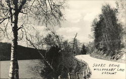 Shore Drive, Willoughby Lake Westmore, VT Postcard Postcard Postcard