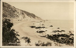 Roosevelt Highway - Cliffs and Beach Postcard