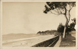 View Along the Shore Postcard