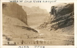 Head of Colorado River Canyon Postcard