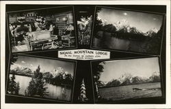 Signal Mountain Lodge on the Shores of Jackson Lake Postcard